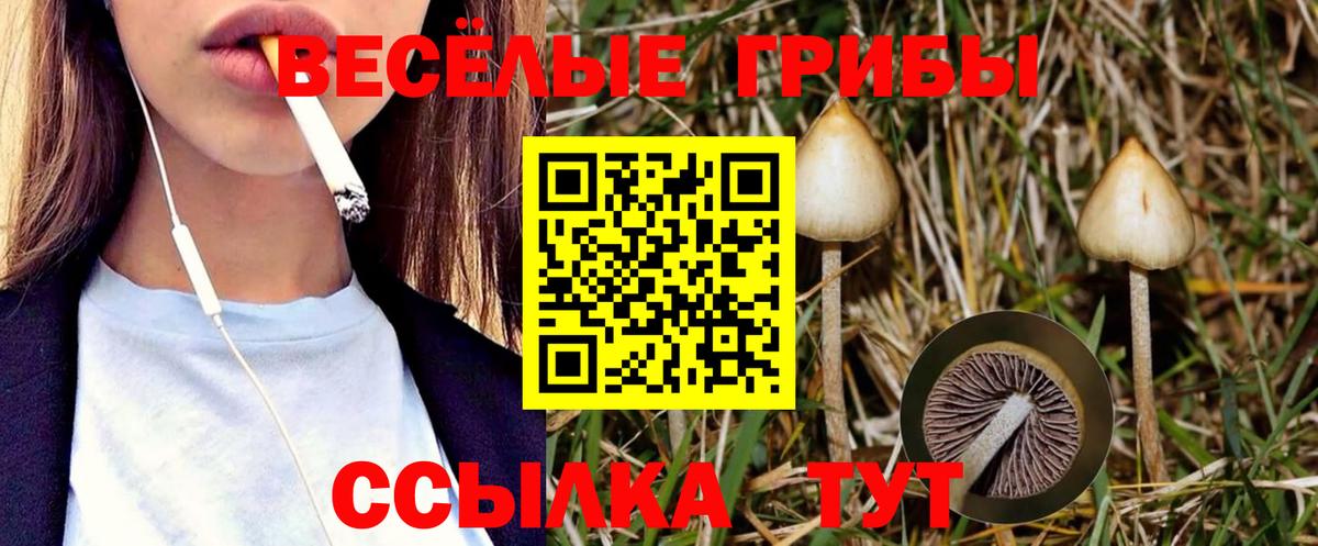 Псилоцибиновые грибы ЛСД Домодедово
